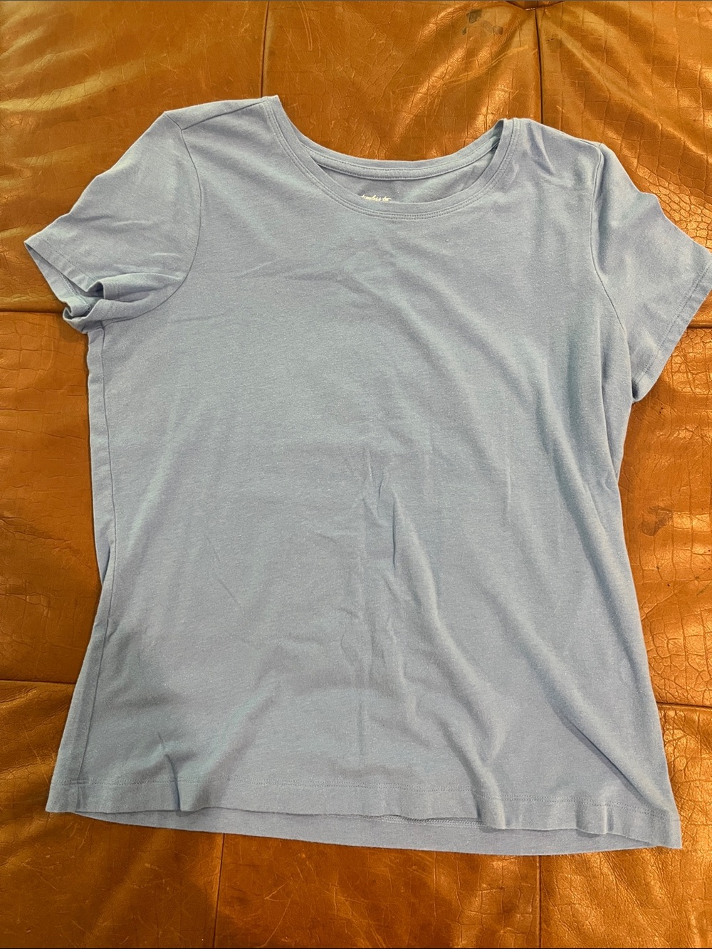 Banana Republic Light Blue Short Sleeve Crewneck Tee